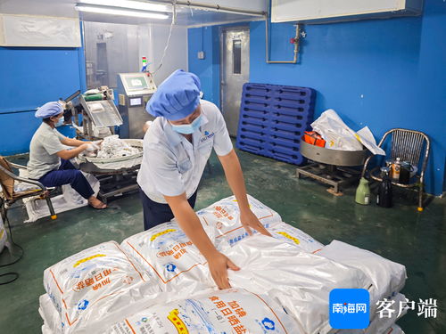 海口國家高新區食品產業企業抓緊災后復工復產