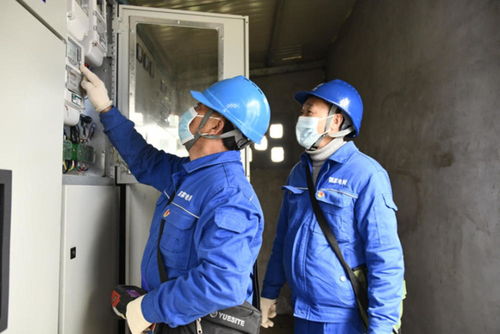 徹底解決大頭菜加工廠用電問題 國網自貢供電公司為鄉村振興農產品企業 送電