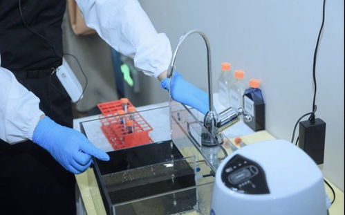 零距離探訪安利 中國 透明工廠 揭秘明星產品背后的秘密