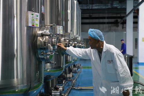 從 中藥飲片 到 配方顆粒 英山道地中藥材身價倍增